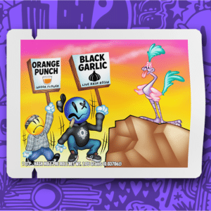 Orange Punch x  Black Garlic