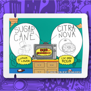 Sugar Cane x Citra Nova
